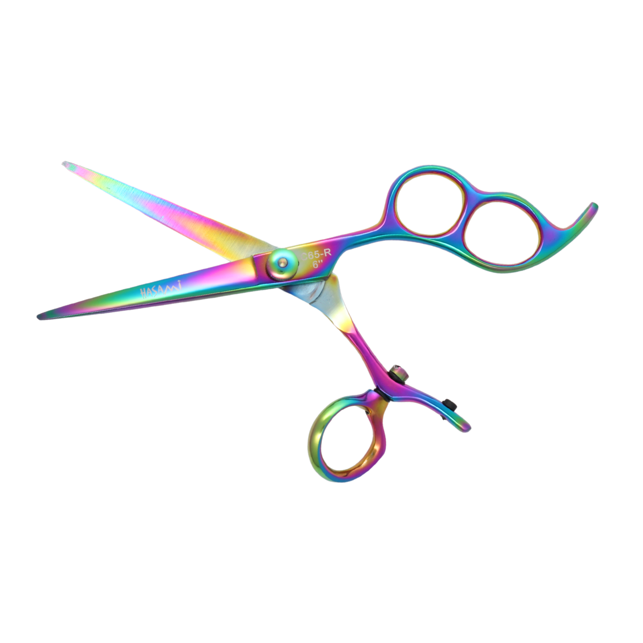 Hasami 6 In. Hair Cutting Scissors Titanium Finish C65-R